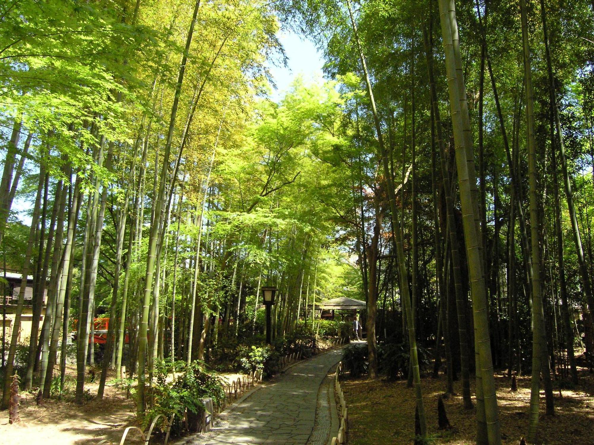 Izu Marriott Hotel Shuzenji Exterior foto