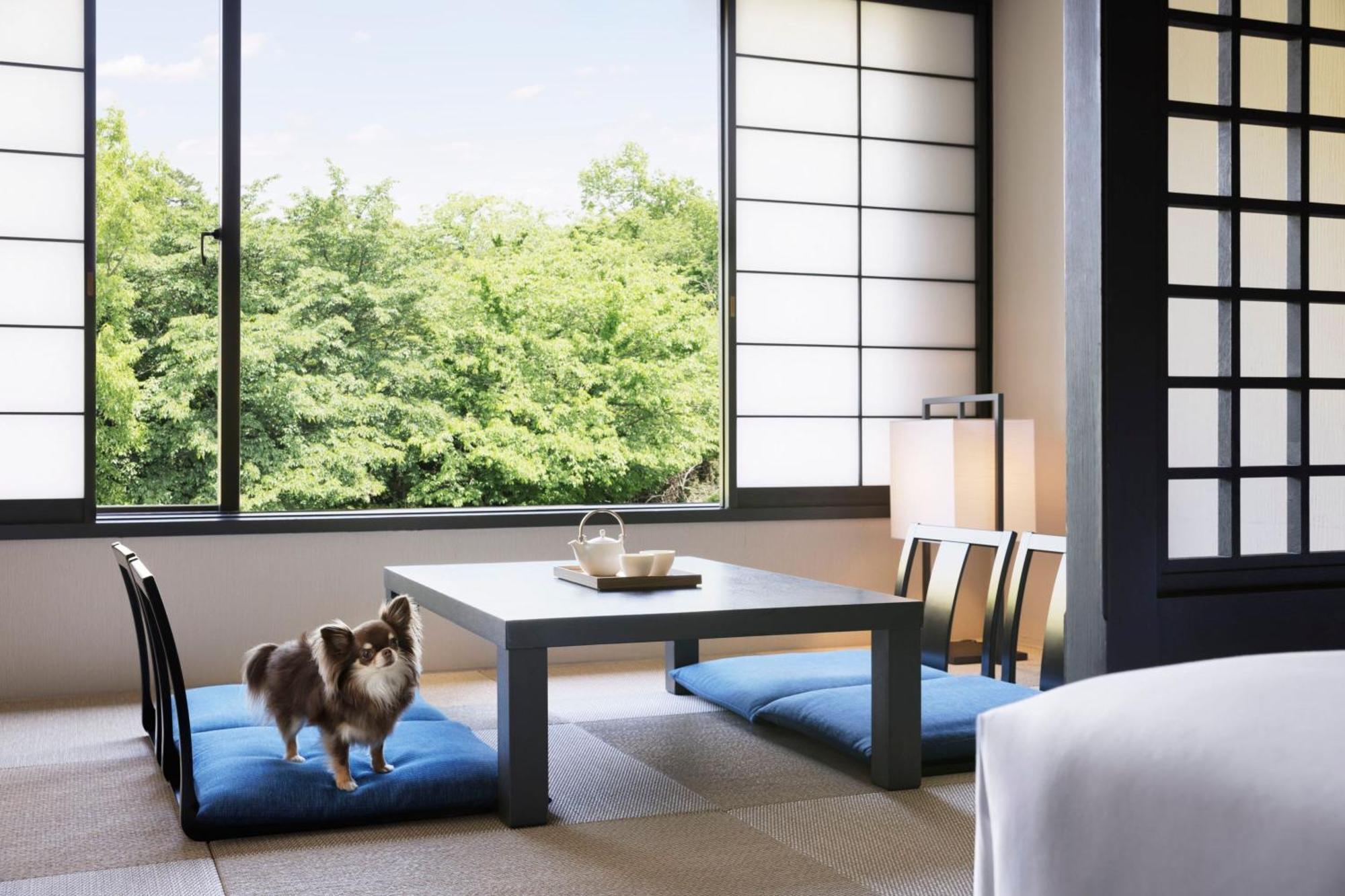 Izu Marriott Hotel Shuzenji Exterior foto